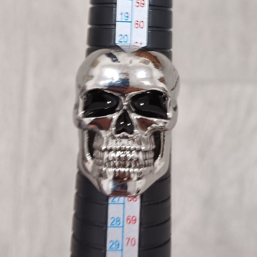 Silver color Skull Ring, Size 10
